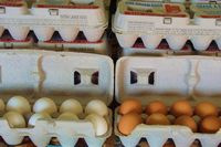 Farm Fresh Eggs