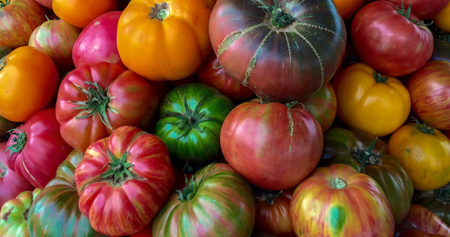 Heirloom Tomato Festival