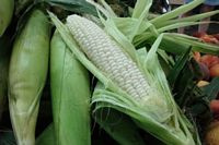 Local Sweet Corn